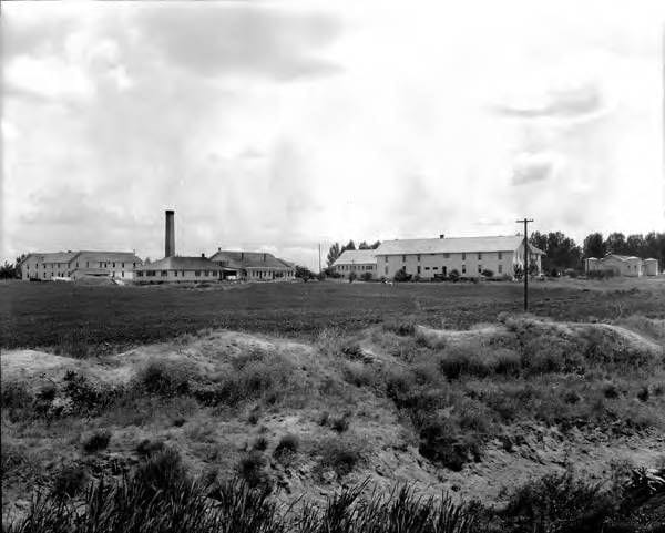 228bba758ee3f74ed783041e2c47f96f_1760891007_6147.jpg 228bba758ee3f74ed783041e2c47f96f_1760891007_6147.jpg