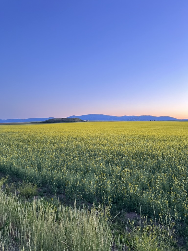 228bba758ee3f74ed783041e2c47f96f_1760892756_9293.jpg 228bba758ee3f74ed783041e2c47f96f_1760892756_9293.jpg